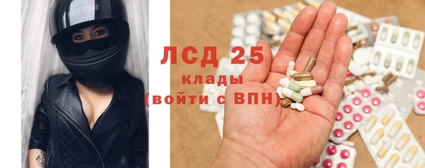 гашик Карпинск