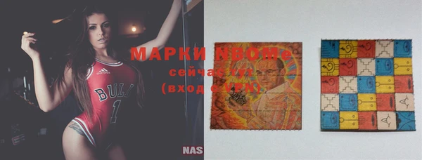 гашик Карпинск