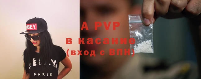 гашик Карпинск