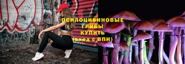 гашик Карпинск