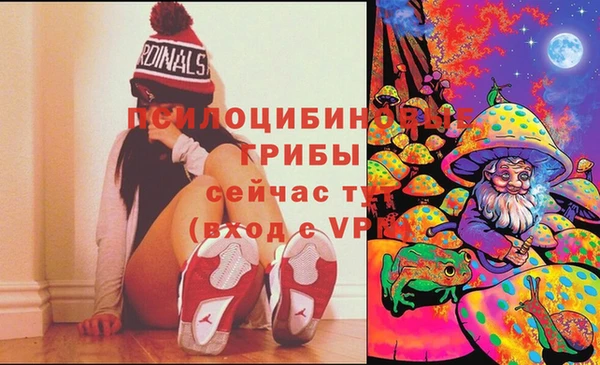 ПСИЛОЦИБИНОВЫЕ ГРИБЫ Россошь