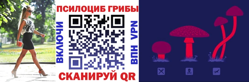 Купить закладки  Вязники  Галлюциногенные грибы ЛСД 